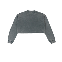 Detroit Vibe Snow Washed Raw Edge Cropped Sweatshirt