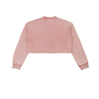 Detroit Vibe Snow Washed Raw Edge Cropped Sweatshirt